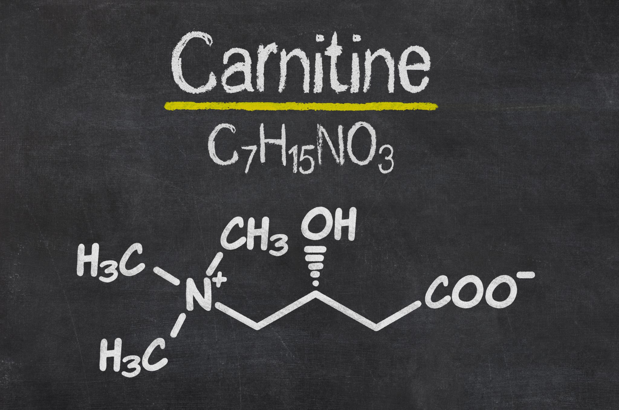 L- Carnitine Nedir? Hangi Besinlerde Bulunur?